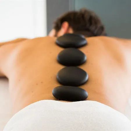 מלון & Wellness Zuiver