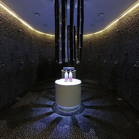 فندق & Wellness Zuiver